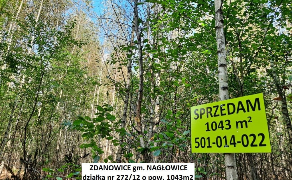 Działka na sprzedaż - Widok 2