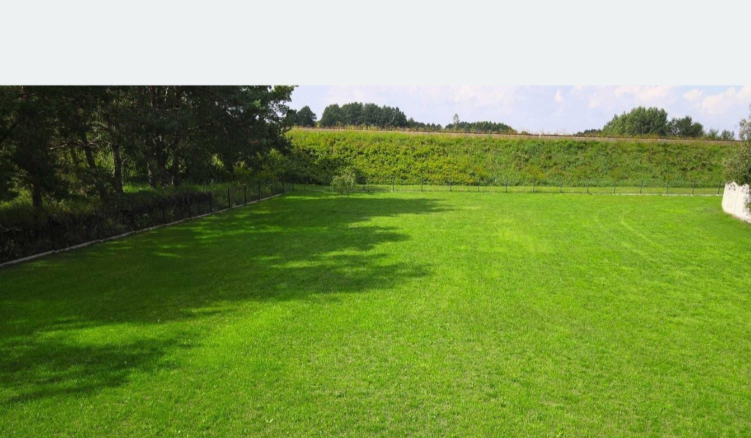 Działka na sprzedaż - Widok 2