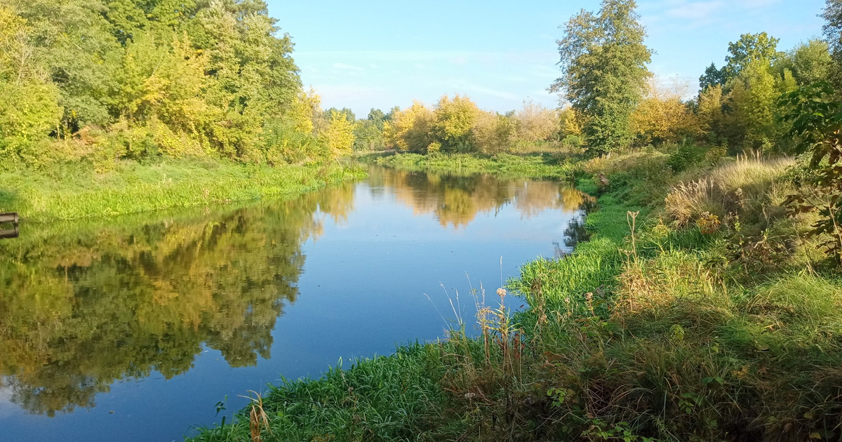 Działka na sprzedaż - Widok 2