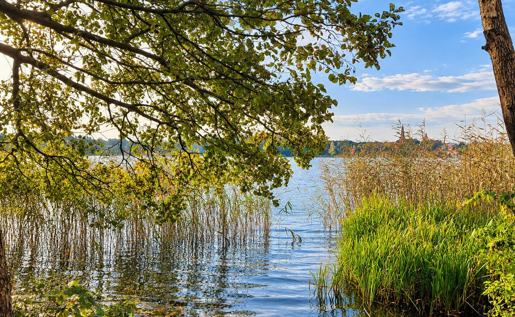 Działka na sprzedaż - Widok 2