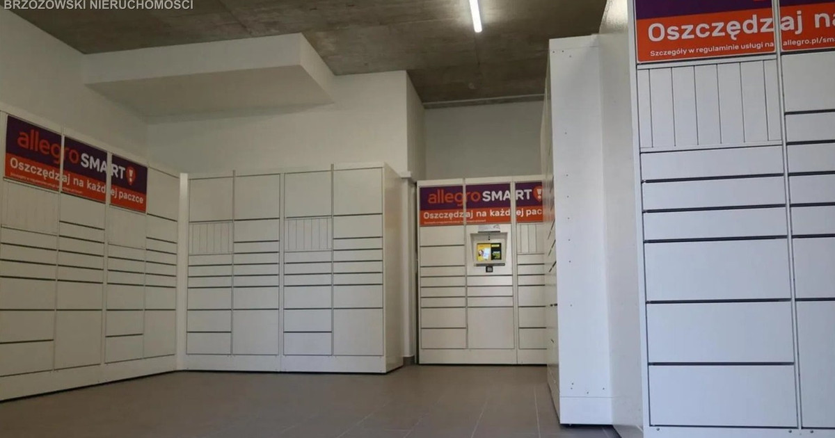 Lokal handlowy, usługowy na sprzedaż - Widok 2