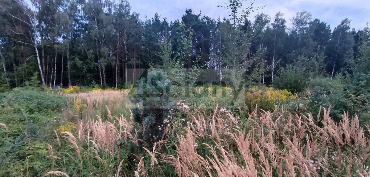 Działka na sprzedaż - Widok 2