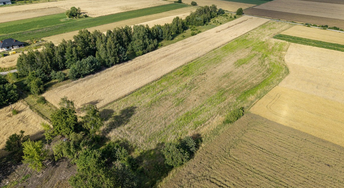 Działka na sprzedaż - Widok 2