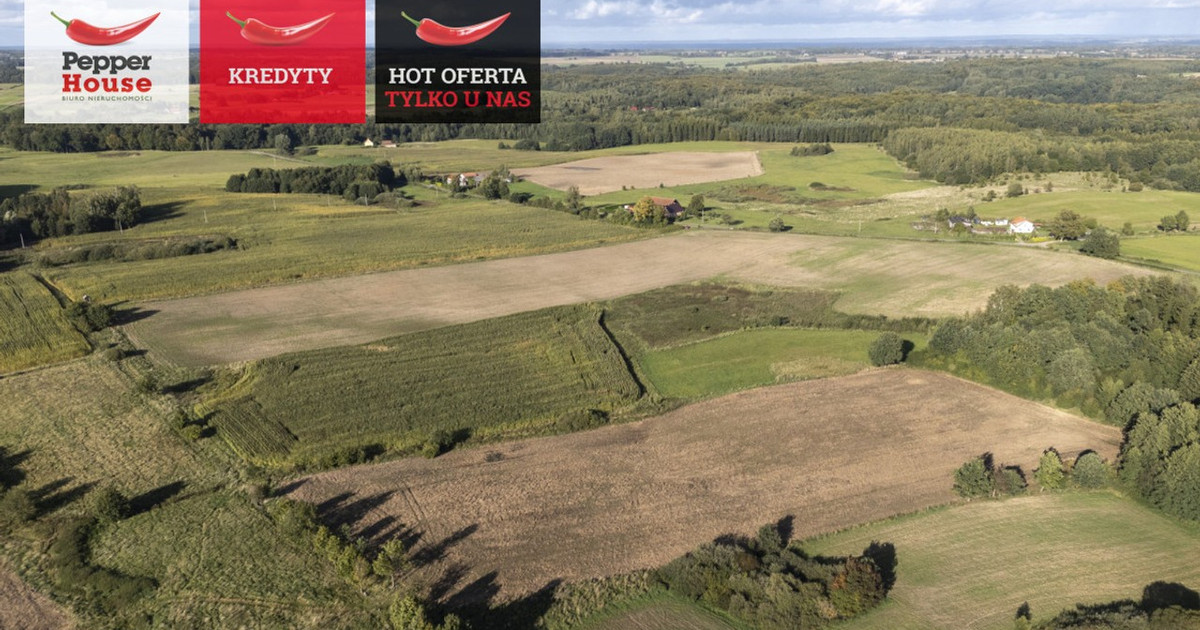 Działka na sprzedaż - Widok 2