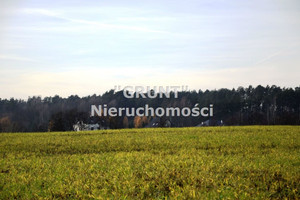Działka na sprzedaż, 2460 m², Trzcianka Stobno