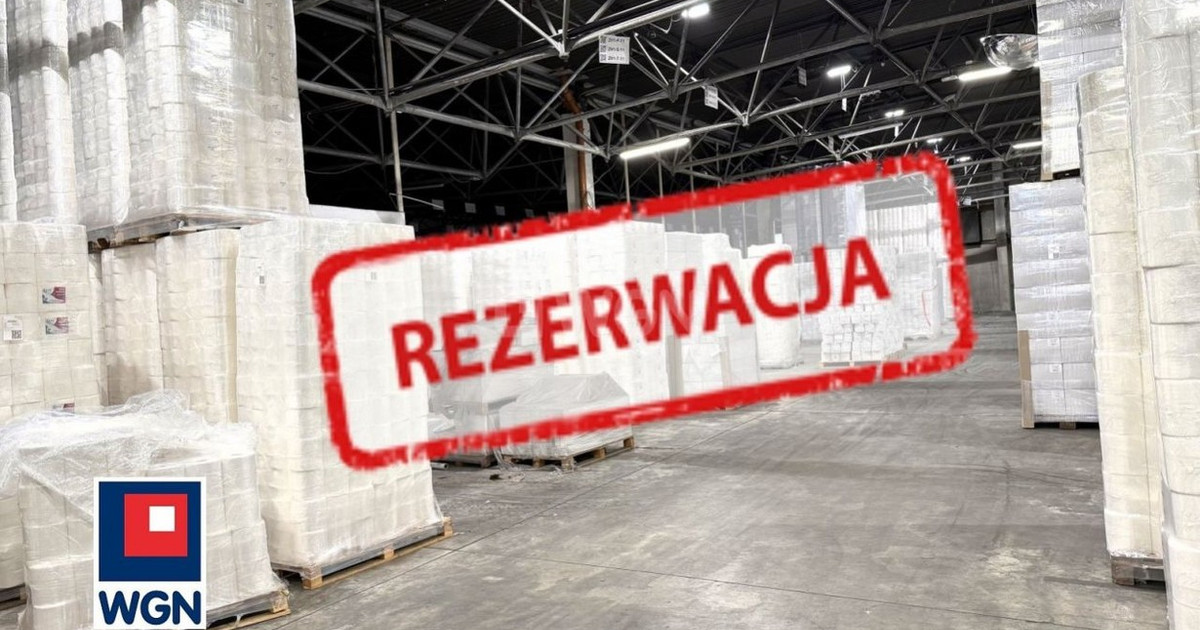 Hala, magazyn na sprzedaż - Widok 2