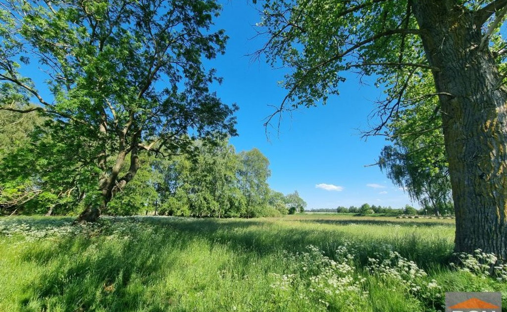 Działka na sprzedaż - Widok 2