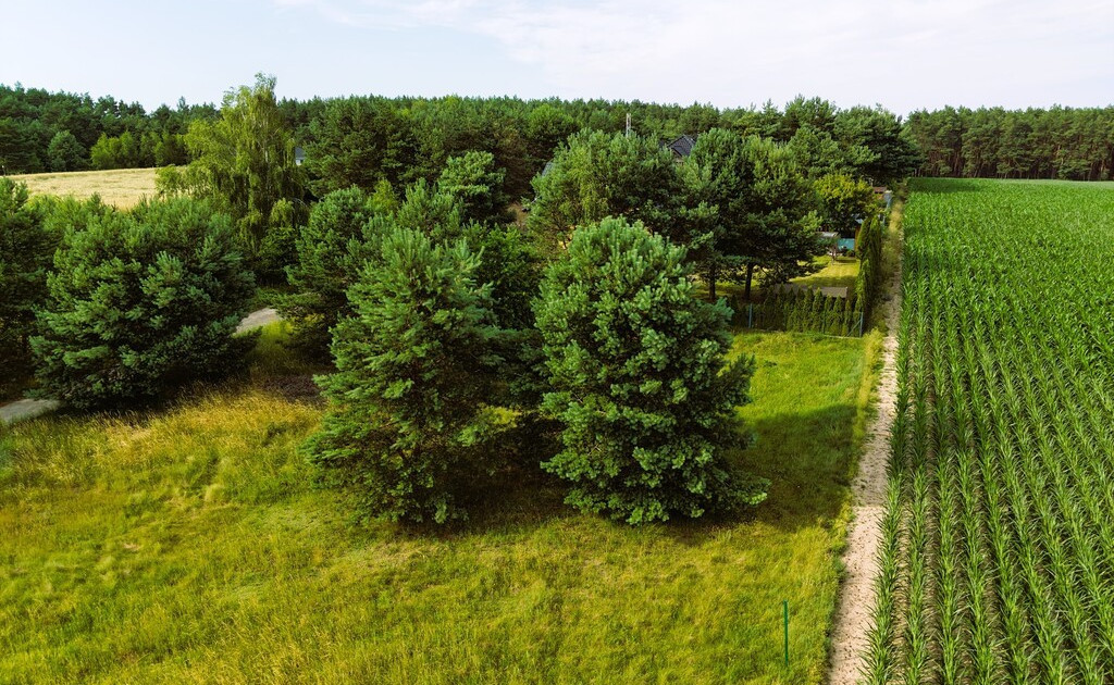 Działka na sprzedaż - Widok 2
