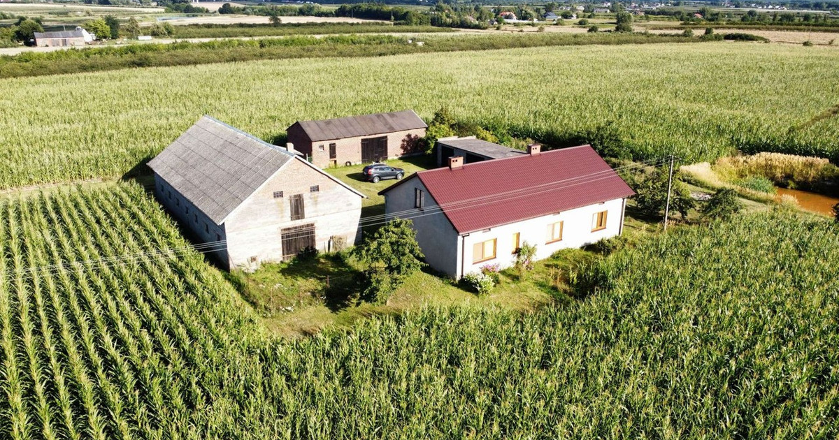 Dom – Sompolno - Widok 2