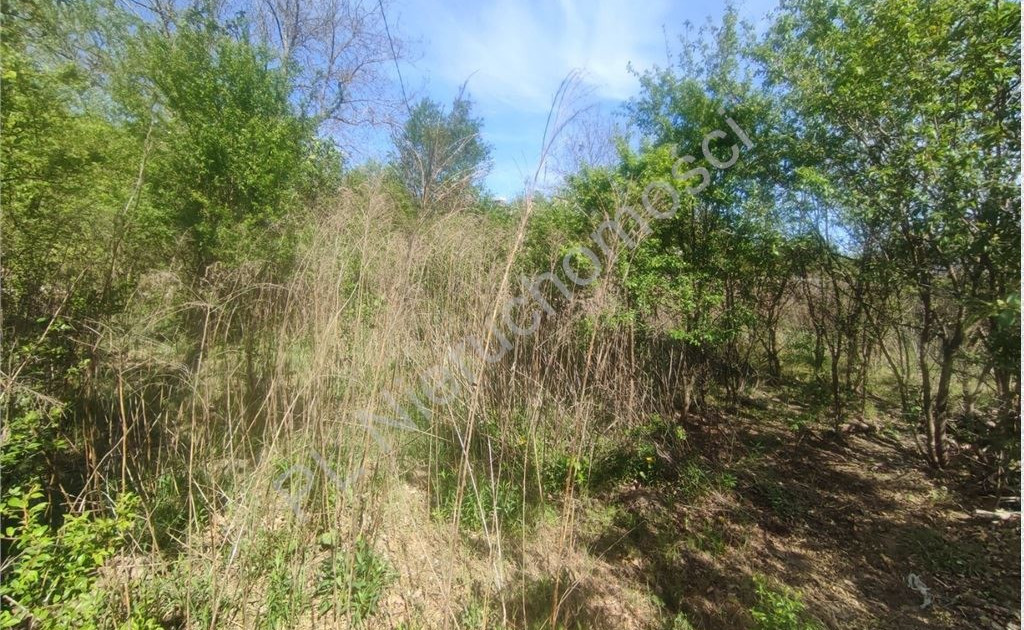 Działka na sprzedaż - Widok 2