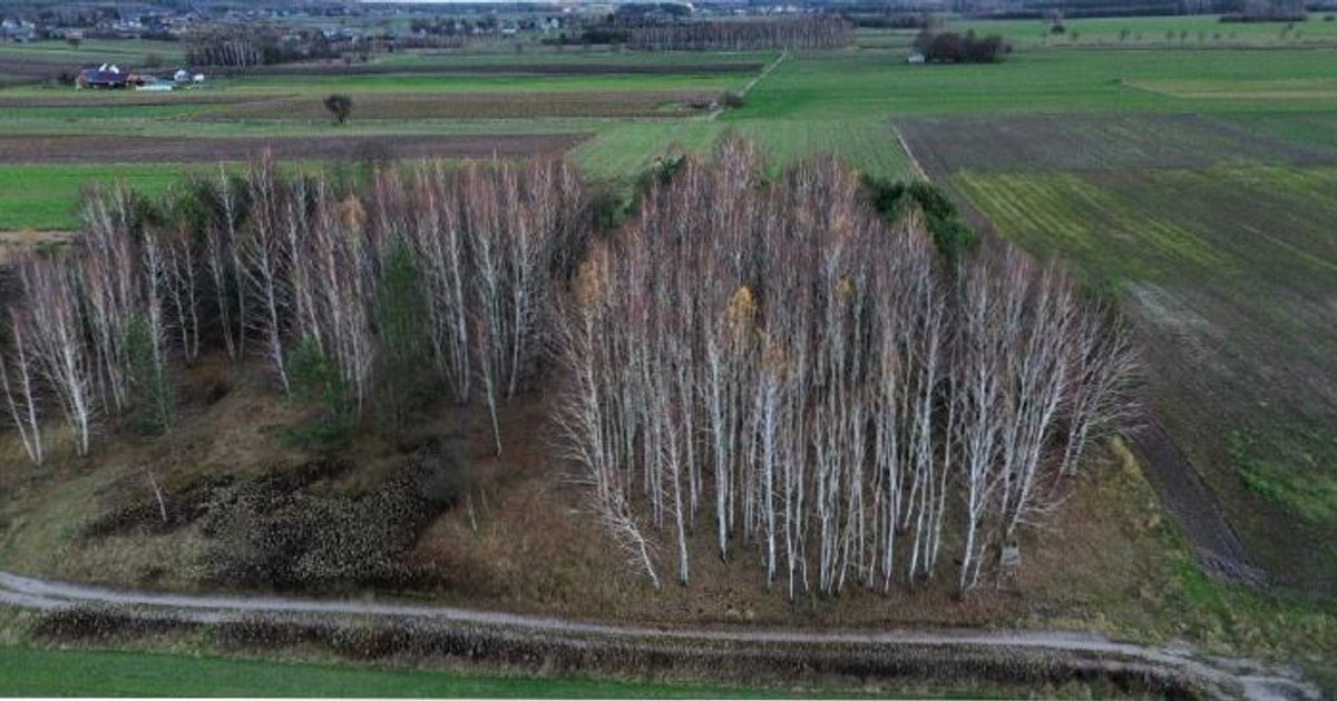 Działka na sprzedaż - Widok 2