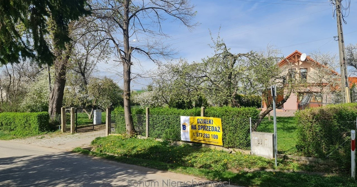 Działka na sprzedaż - Widok 2