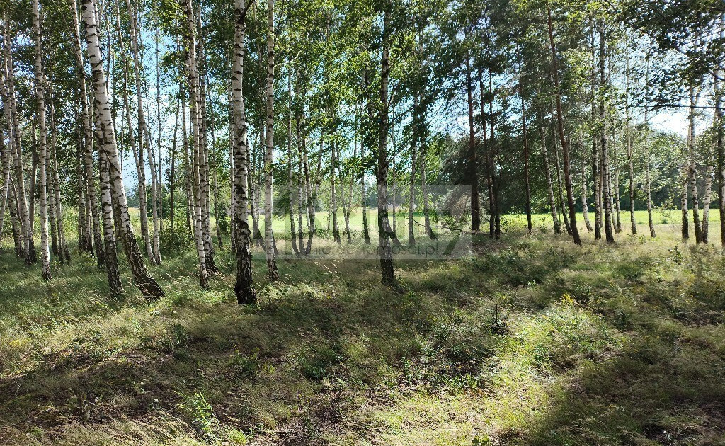 Działka na sprzedaż - Widok 2