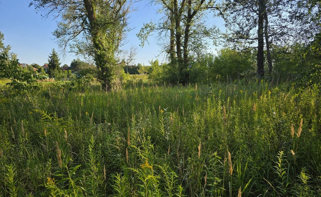 Działka na sprzedaż - Widok 2