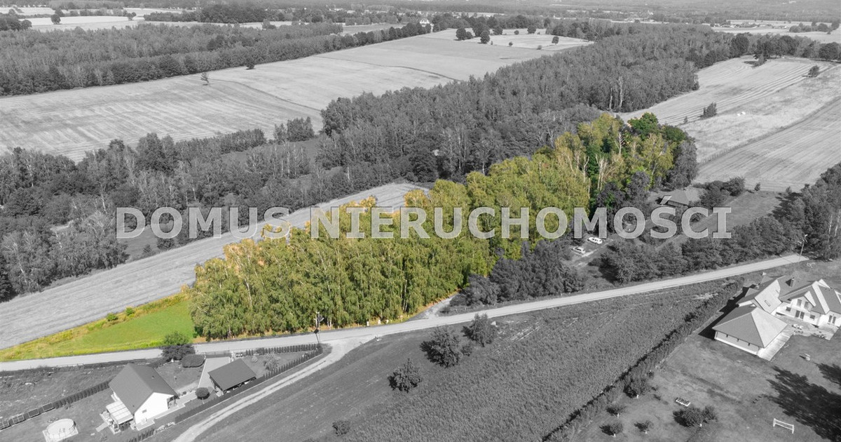 Działka na sprzedaż - Widok 2