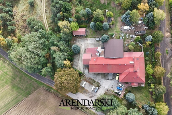 Lokal handlowy, usługowy do wynajęcia