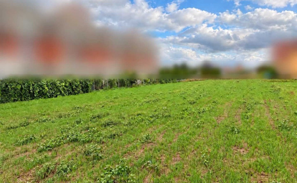 Działka na sprzedaż - Widok 2
