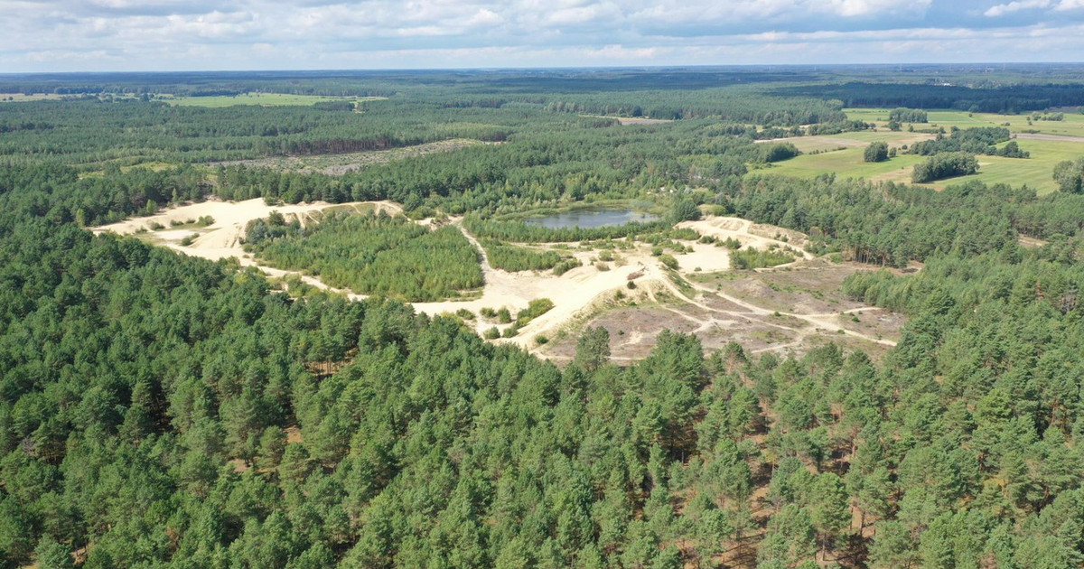 Działka na sprzedaż - Widok 2