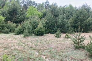 Działki budowlane w Pawłowie Skockim