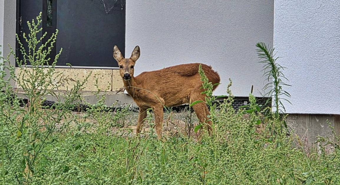 Działka na sprzedaż - Widok 2