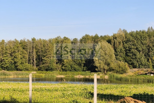 Terreno, 3100 m²