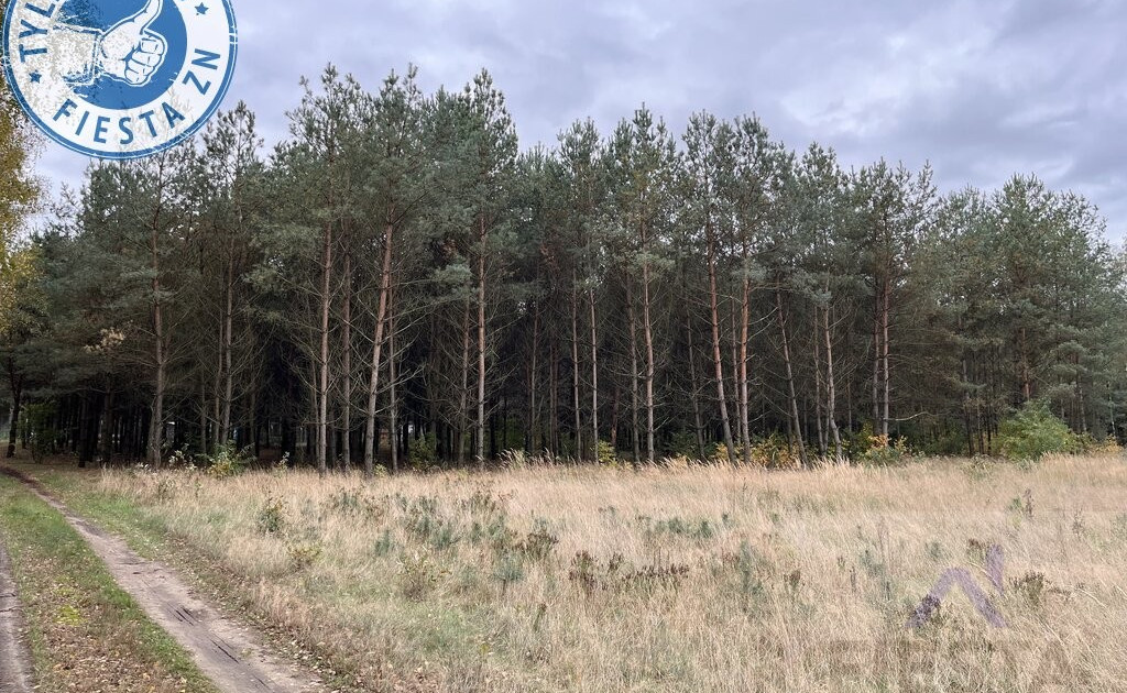Działka na sprzedaż - Widok 2