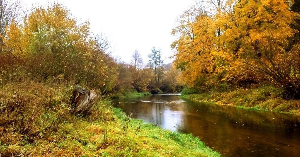 Działka na sprzedaż - Widok 2