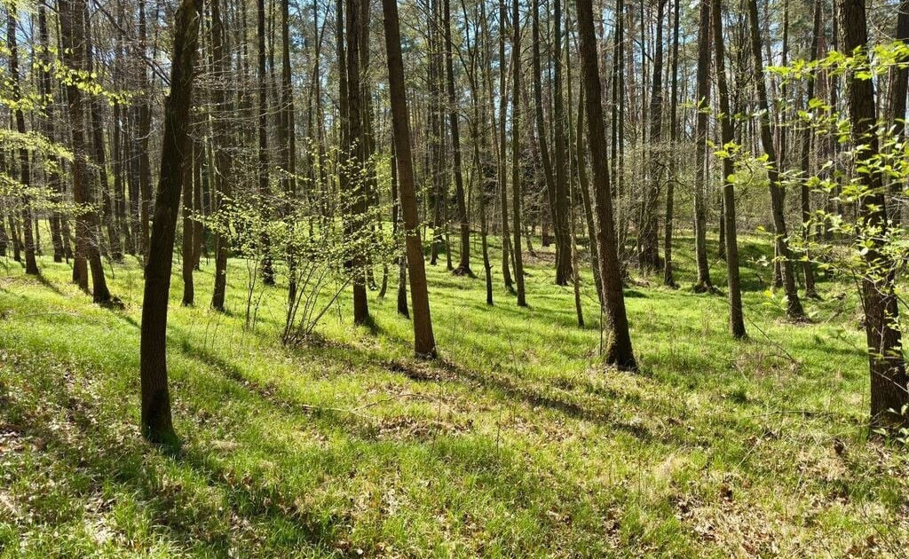 Działka na sprzedaż - Widok 2
