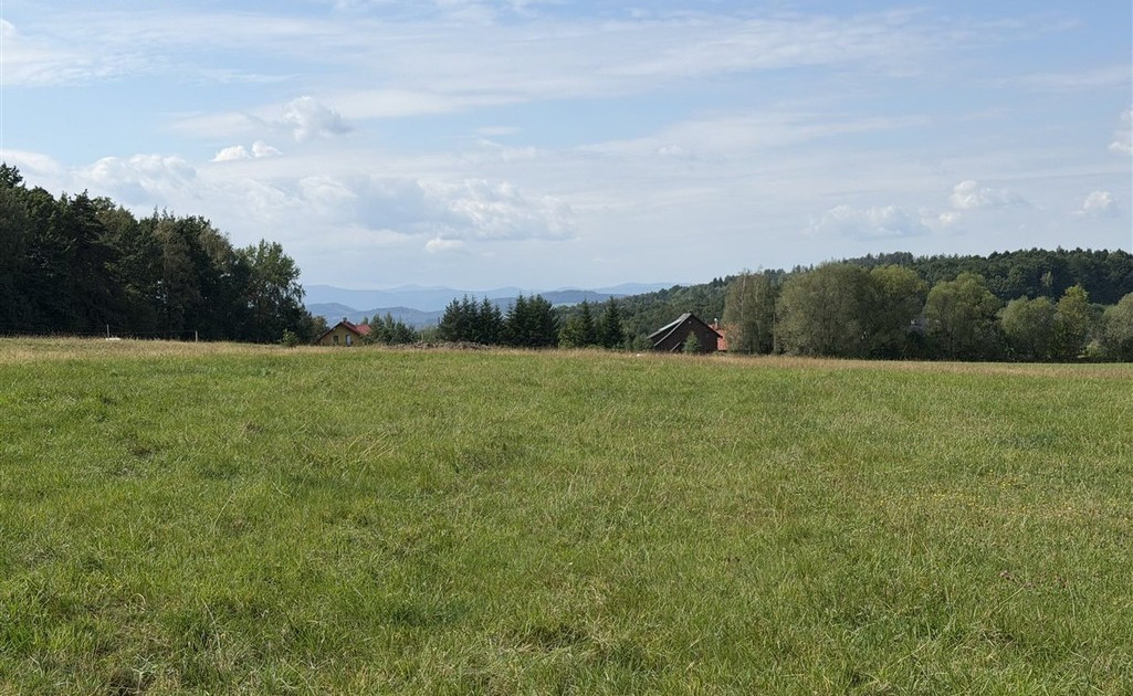 Działka na sprzedaż - Widok 2