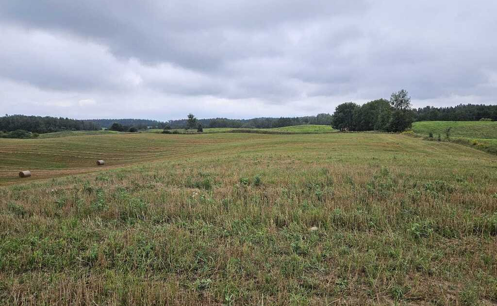 Działka na sprzedaż - Widok 2