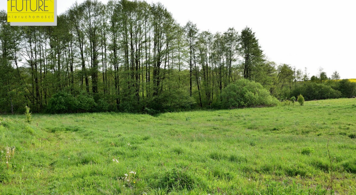 Działka na sprzedaż - Widok 2
