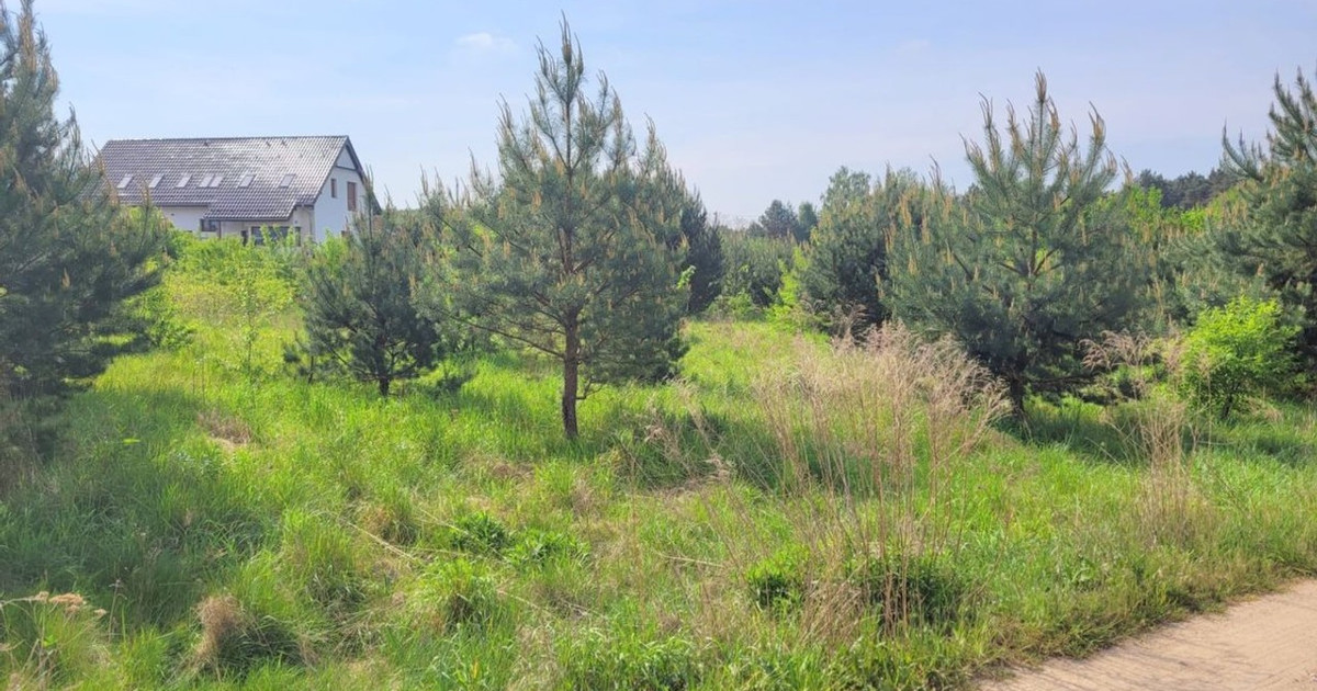 Działka na sprzedaż - Widok 2