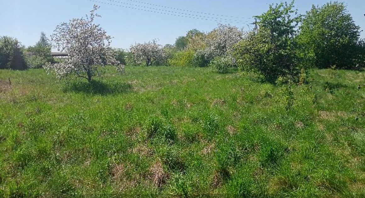 Działka na sprzedaż - Widok 2
