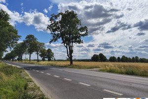 Działka przy DK 61 blisko Narwi 35 km od Warszawy