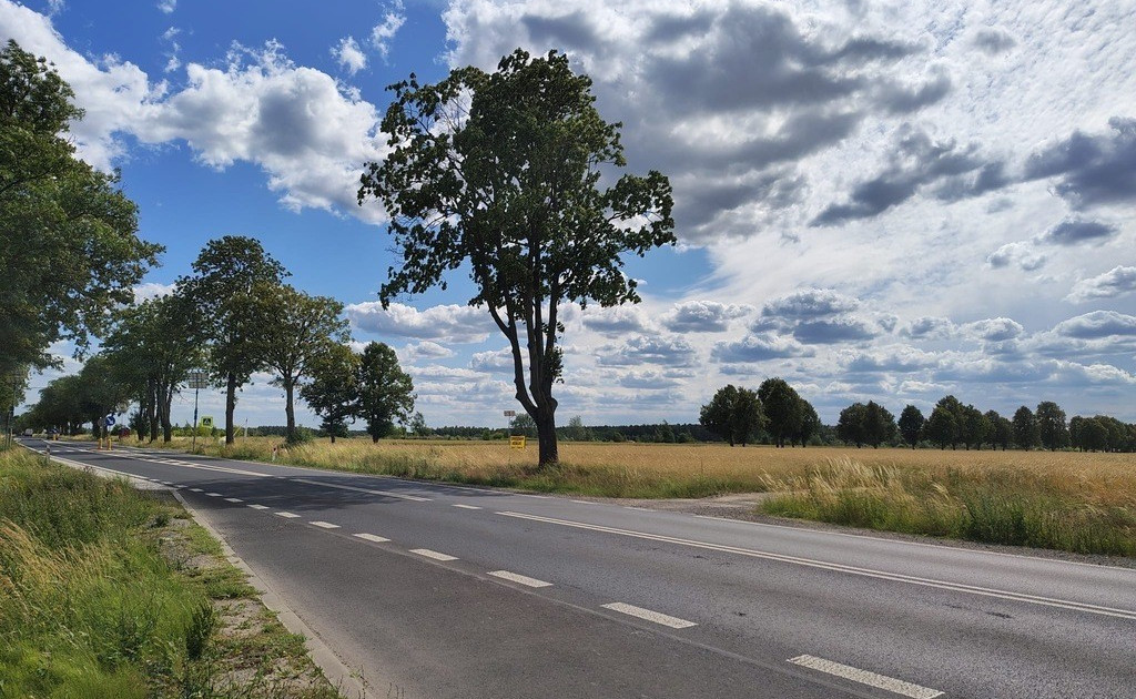 Działka na sprzedaż - Widok 2