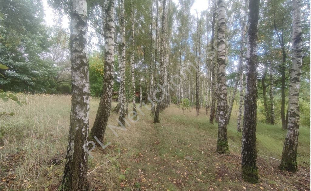 Działka na sprzedaż - Widok 2