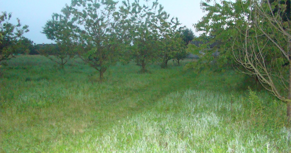 Działka na sprzedaż - Widok 2