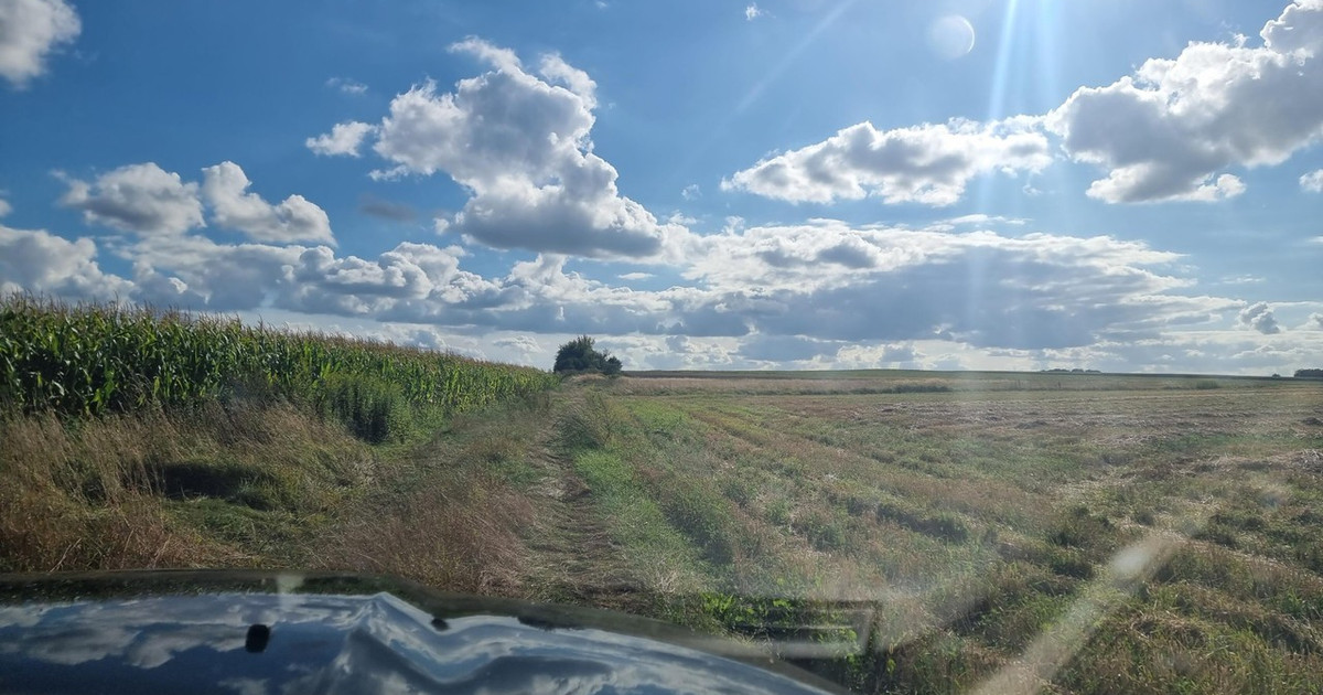 Działka na sprzedaż - Widok 2