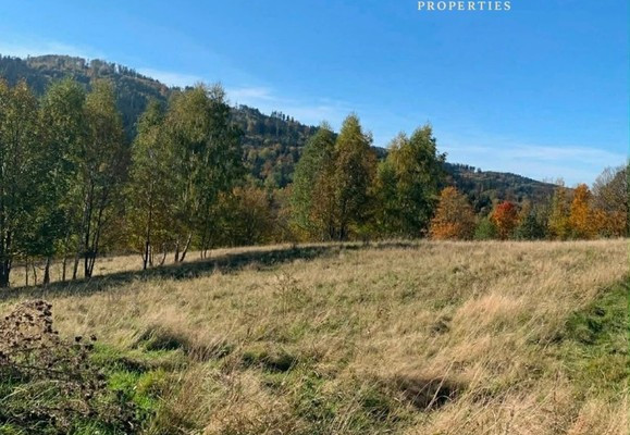 Ділянка, 13853 m²