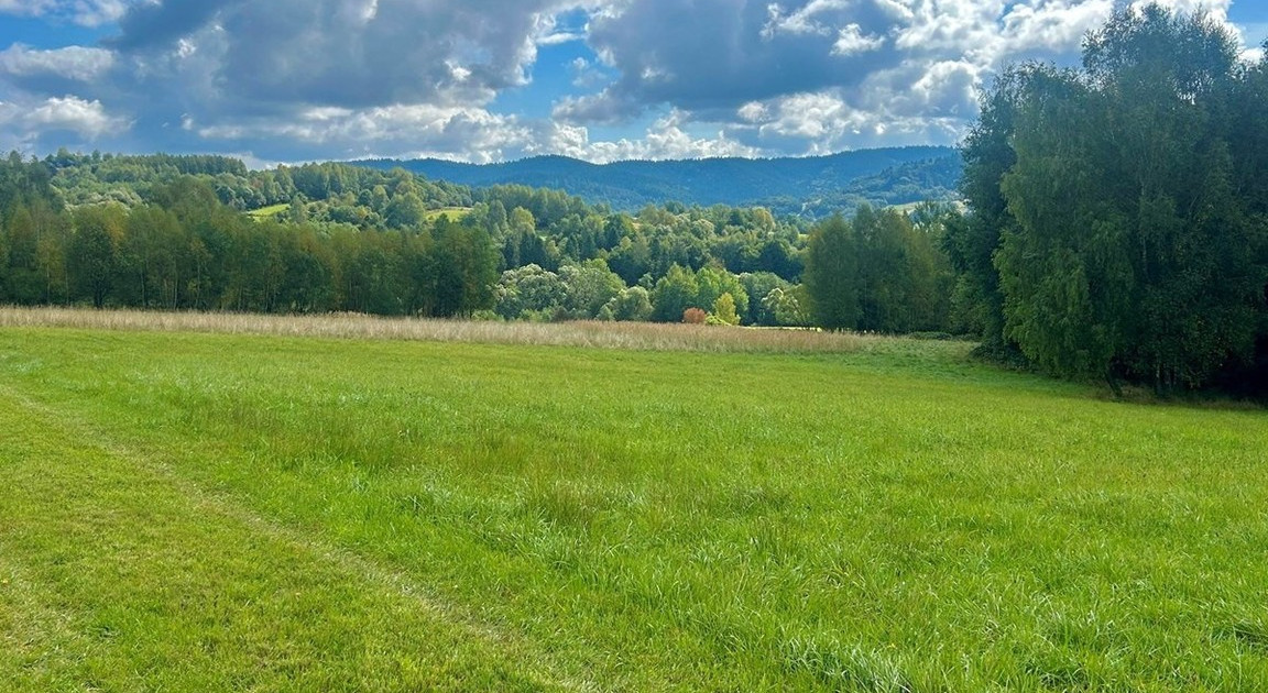 Działka na sprzedaż - Widok 2