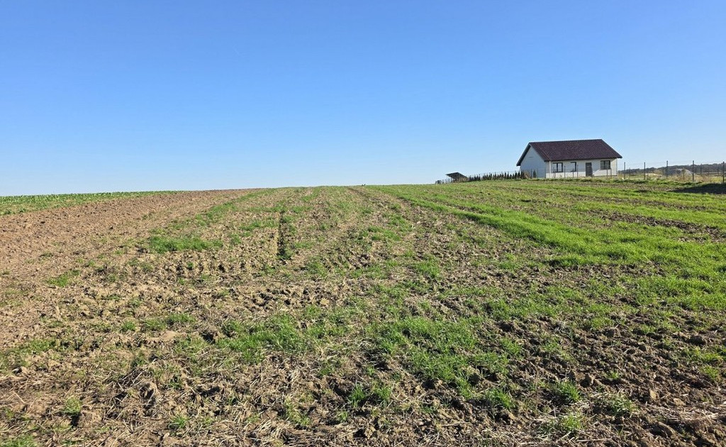 Działka na sprzedaż - Widok 2