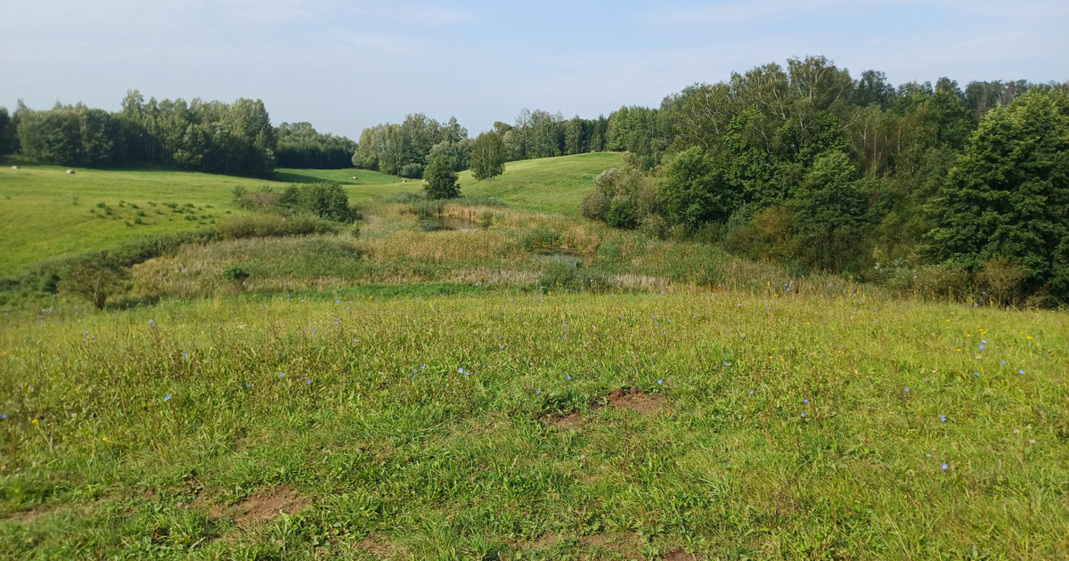Działka na sprzedaż - Widok 2