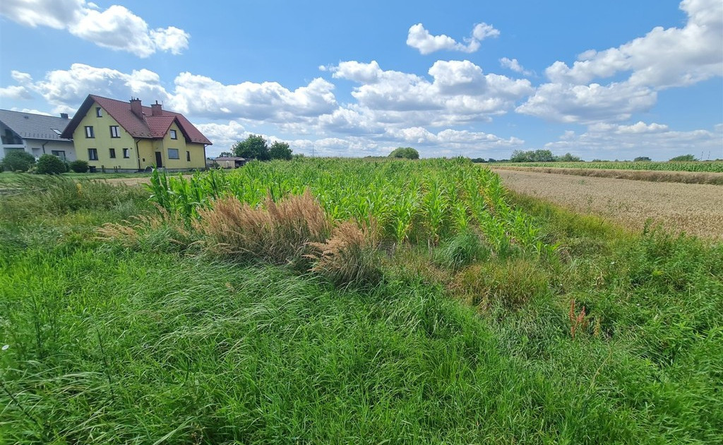 Działka na sprzedaż - Widok 2