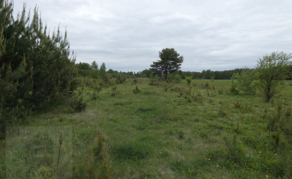 Działka na sprzedaż - Widok 2