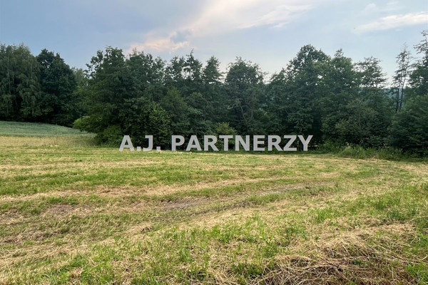 Sklypas, 1000 m²