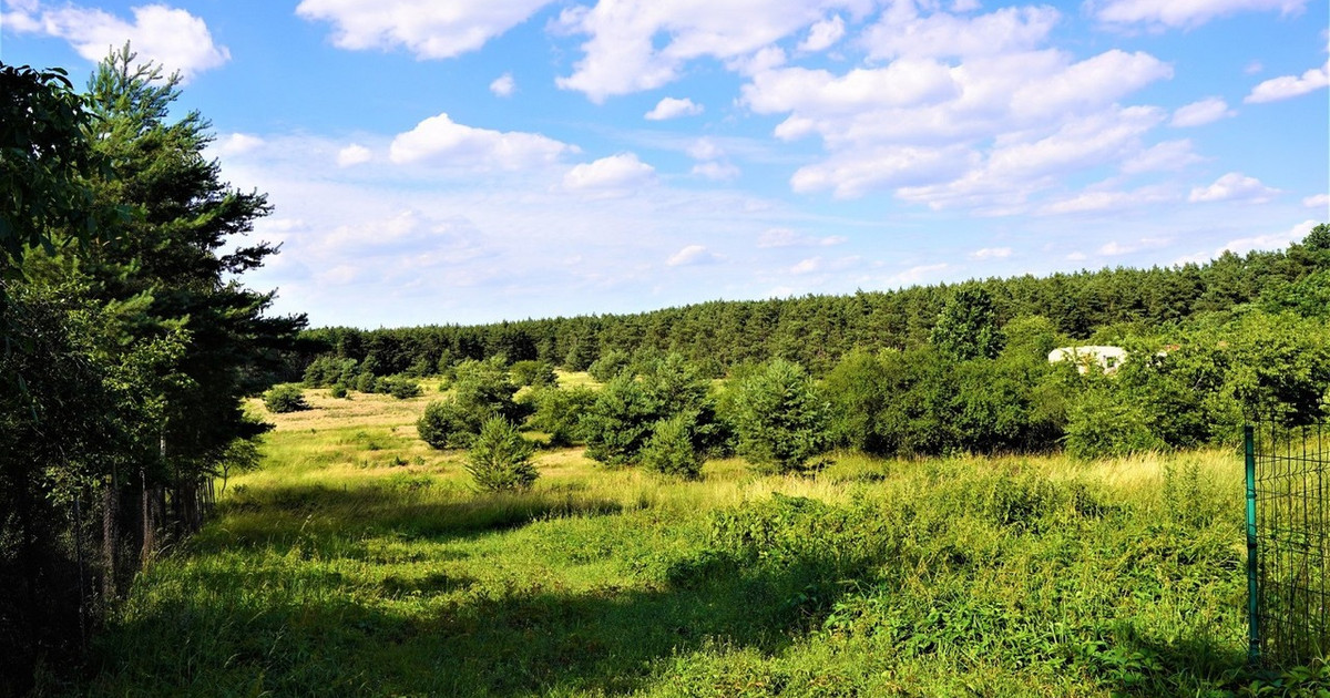 Działka na sprzedaż - Widok 2