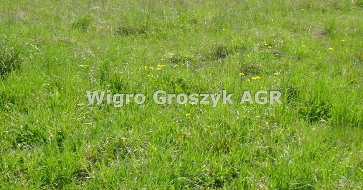 Działka na sprzedaż - Widok 2