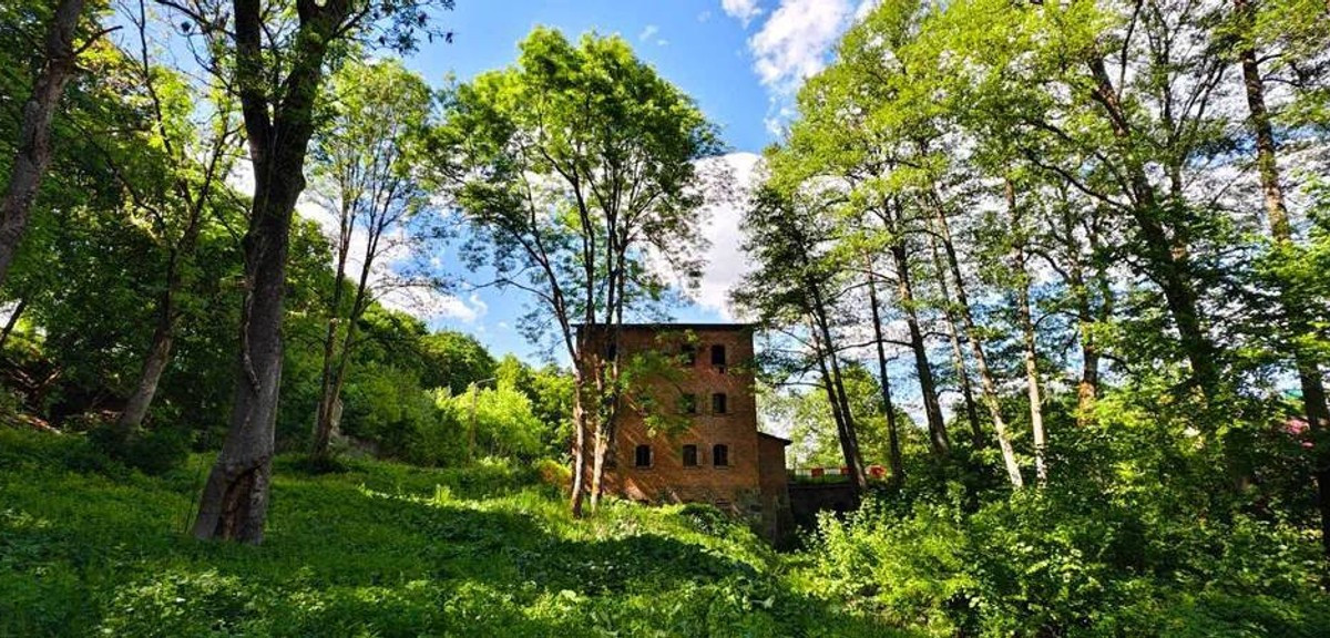 Dom – Jastrowie - Widok 2