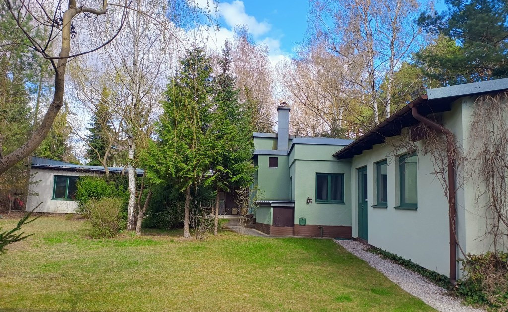 Lokal handlowy, usługowy do wynajęcia - Widok 2