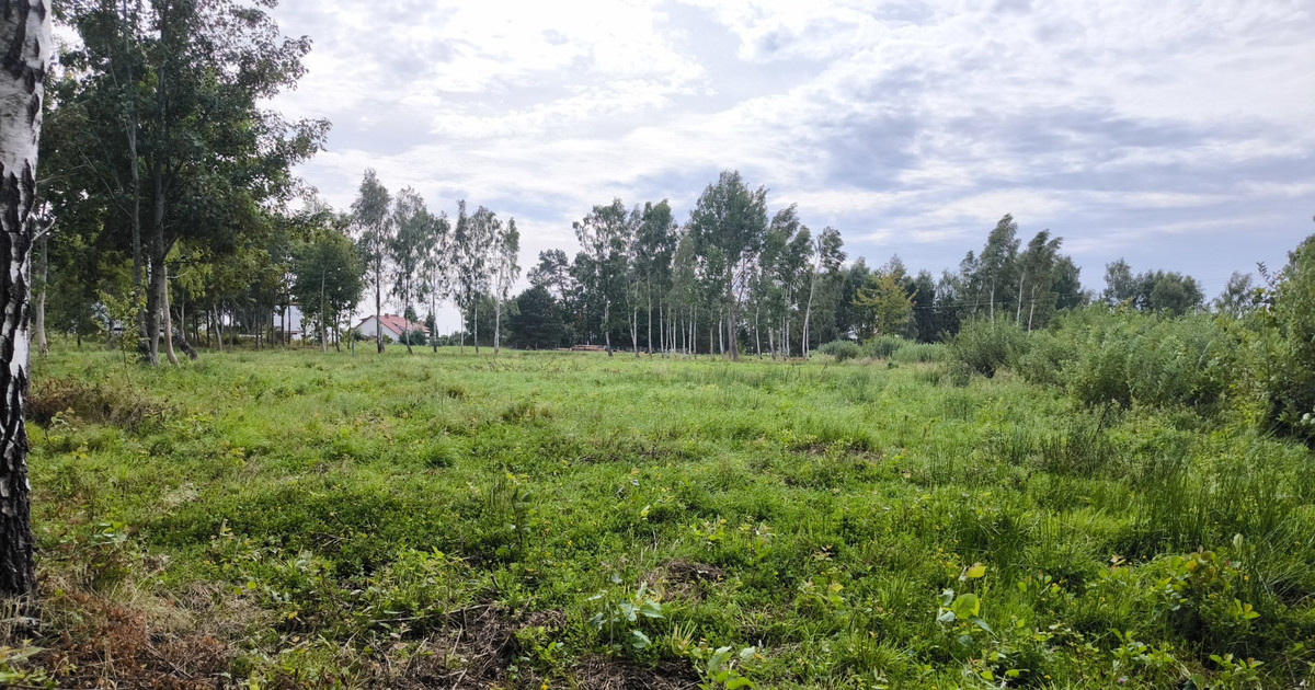 Działka na sprzedaż - Widok 2